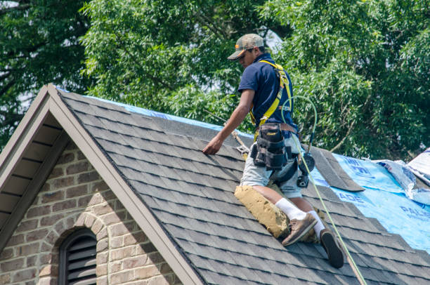 Roof Waterproofing Services in Fredericksburg, VA